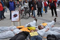 DSC_1483_OEKT2010k