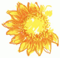 Sonnenblume