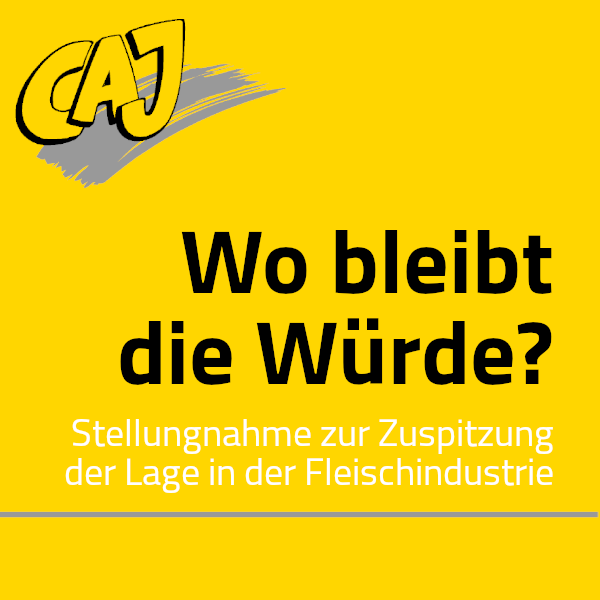 Wo bleibt die Würde? Zur Situation in der Fleischindustrie